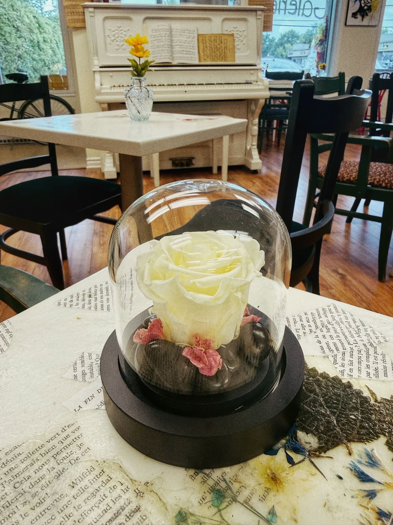 Rose éternelle sous cloche de verre, bar à fleurs NMW